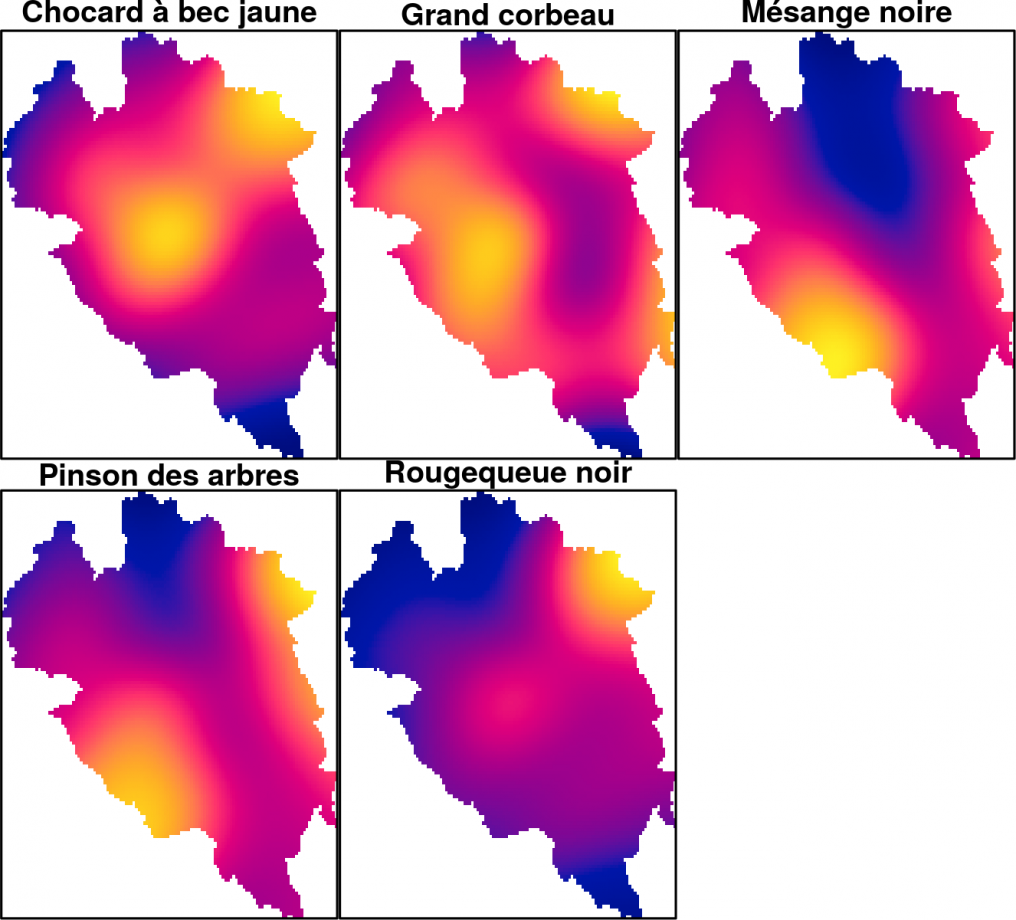 Estimation jointe de la répartition de cinq espèces d’oiseaux sur le territoire du parc national des Écrins.